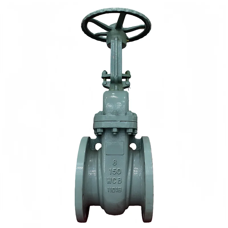 I-Carbon Steel ANSI Flange Gate Valve