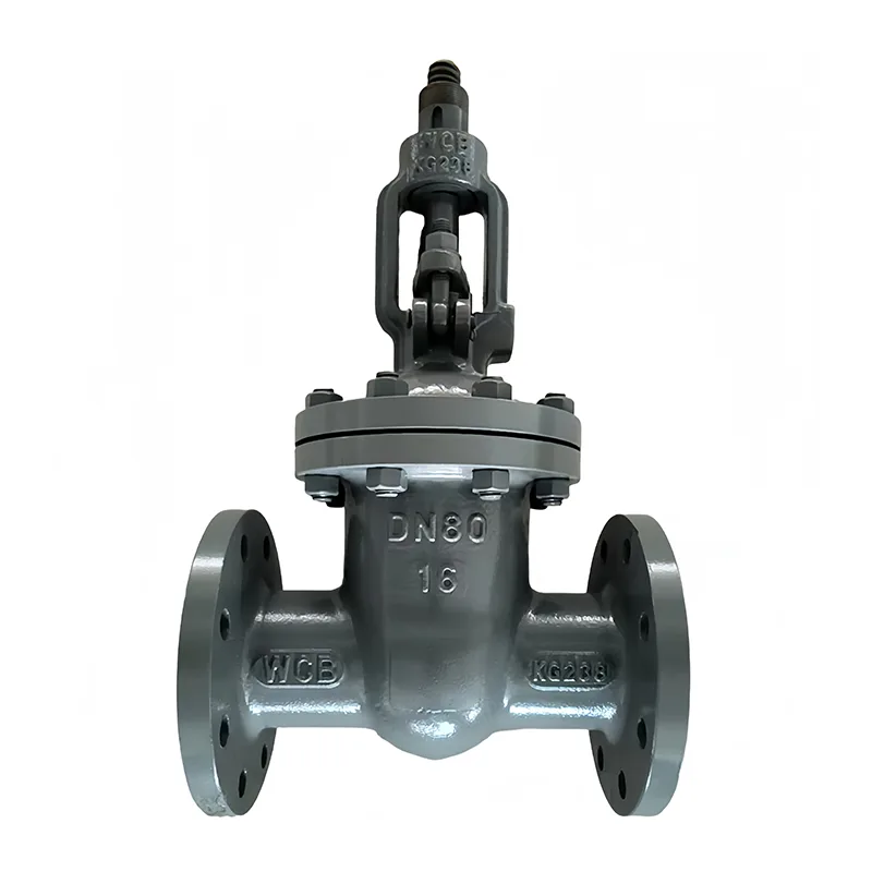 I-Carbon Steel Flange Gate Valve