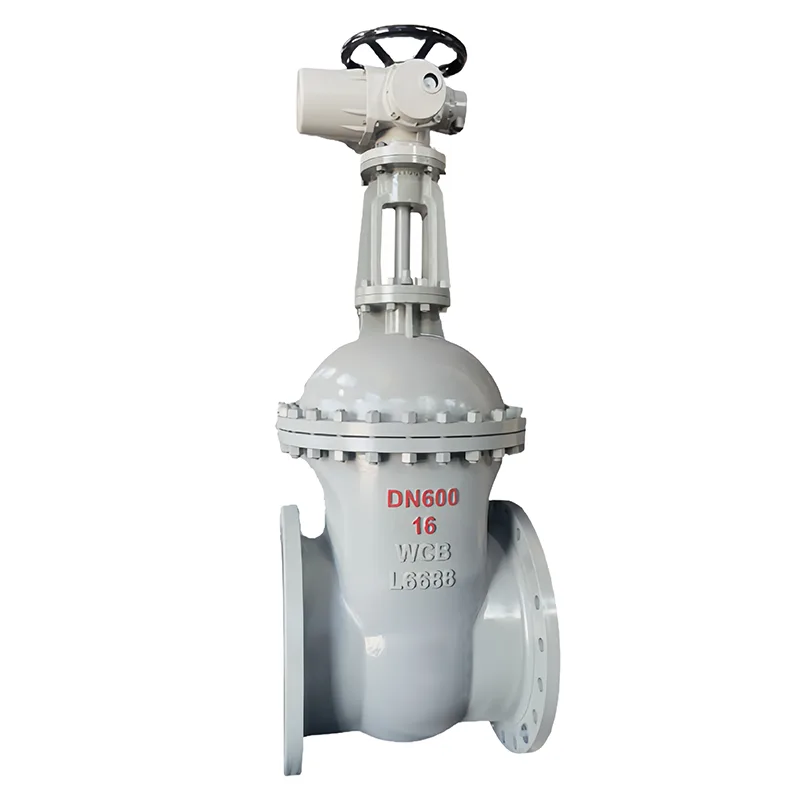 I-Carbon Steel National Standard Gate Valve