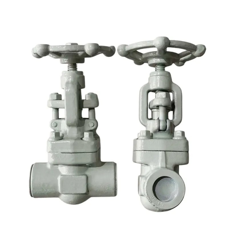 I-Chemical Industry Specific Gate Valve