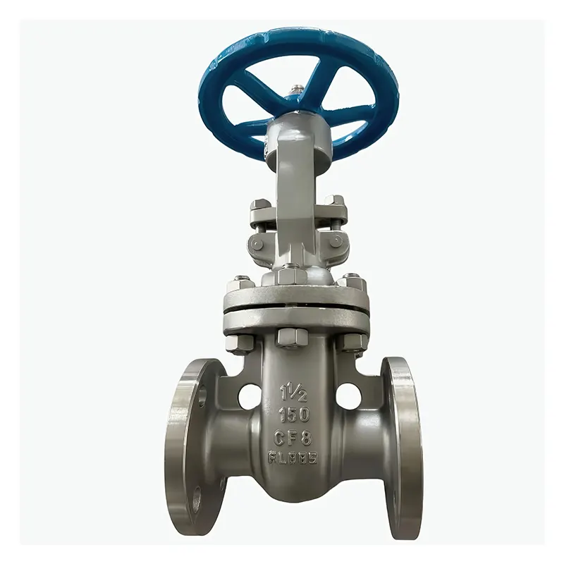 I-Stainless Steel 304 Flanged Gate Valve