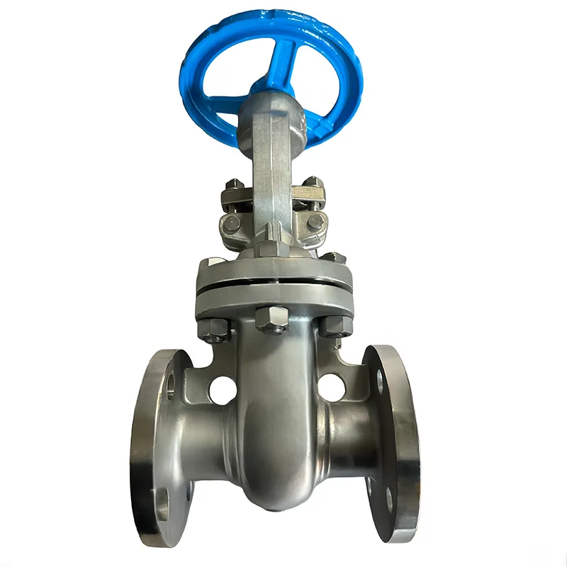 I-Stainless Steel API Flanged Gate Valve