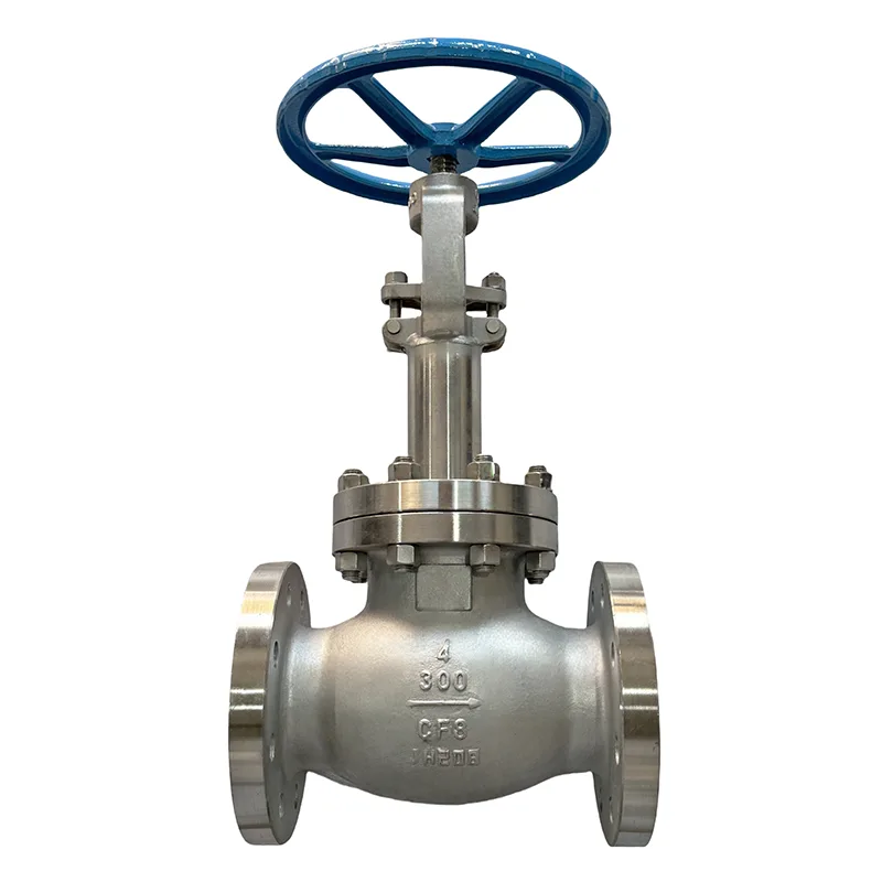 I-Stainless Steel Flange Globe Valve