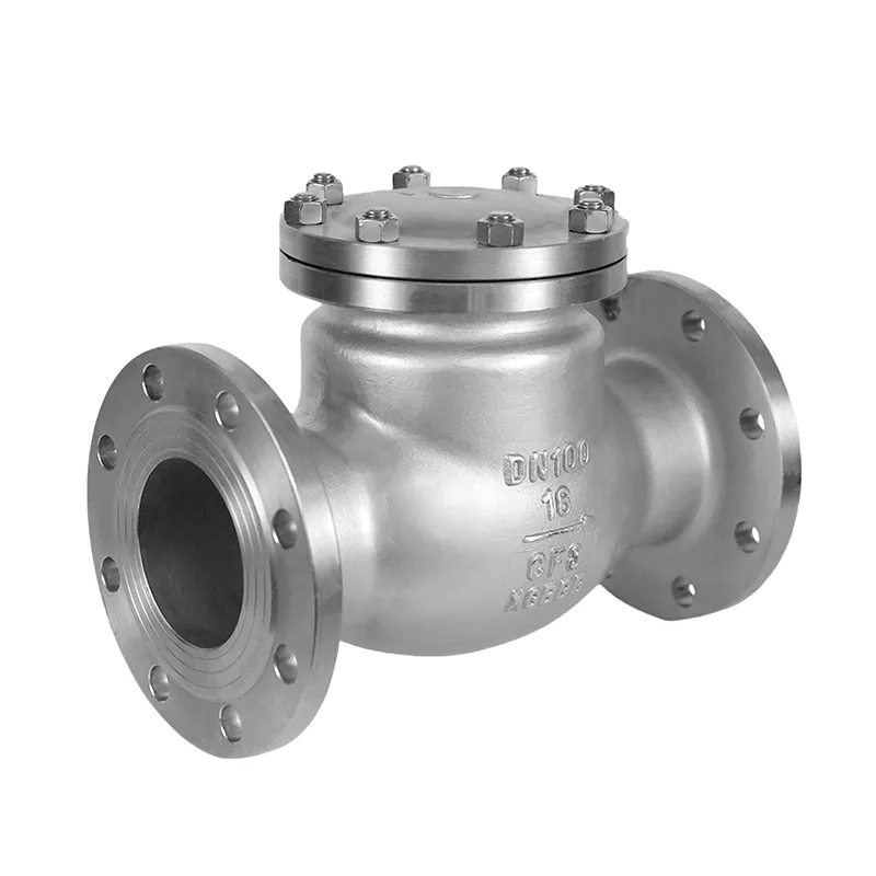I-Stainless Steel GB Standard Check Valve
